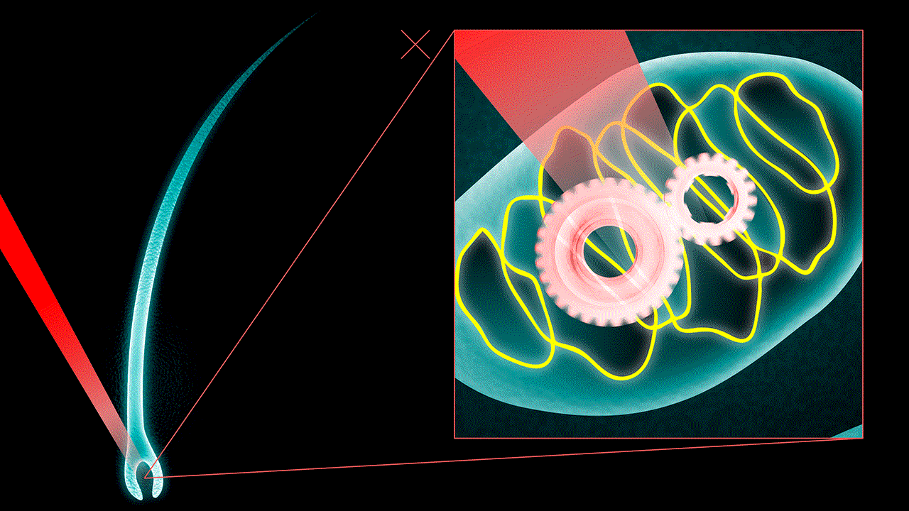 Theradome science 2